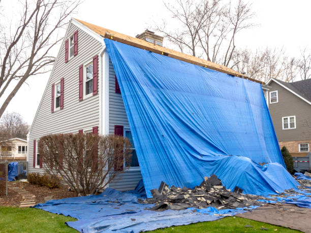 Best Siding Painting and Refinishing  in Ravenna, NE